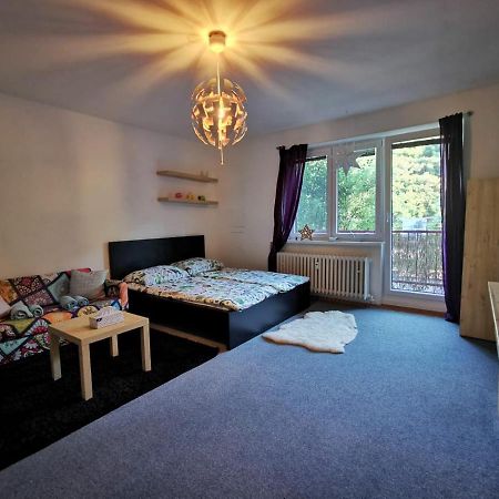 Cely Apartman Podlesi 54M2 S Dvema Balkony A S Novou Manzelskou Posteli, Zatim Neni Na Fotkach Leilighet Brno Eksteriør bilde